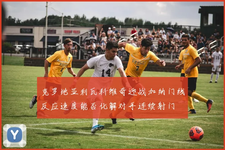克罗地亚利瓦科维奇迎战加纳门线反应速度能否化解对手连续射门