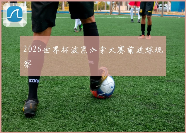 2026世界杯波黑加拿大赛前进球观察