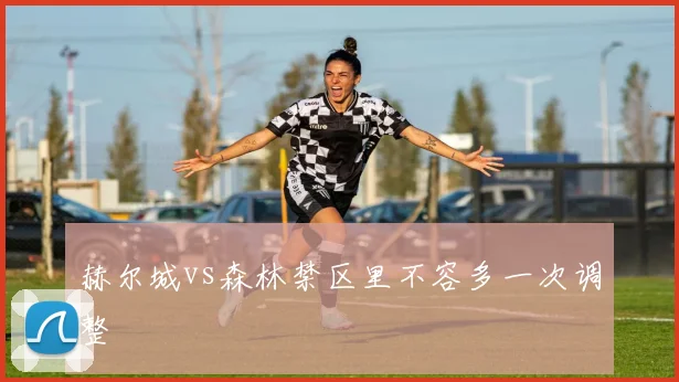 赫尔城vs森林禁区里不容多一次调整