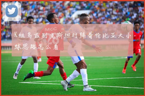K组乌兹别克斯坦对阵哥伦比亚大小球思路怎么看