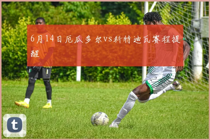 6月14日厄瓜多尔vs科特迪瓦赛程提醒